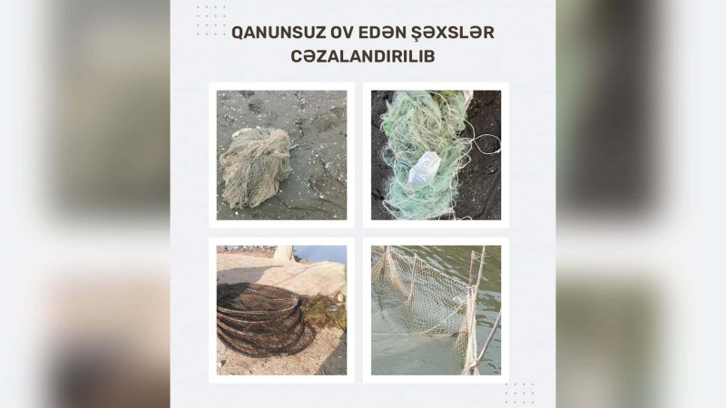 Xaçmaz ərazisində qanunsuz ov edən şəxs cəzalandırılıb
