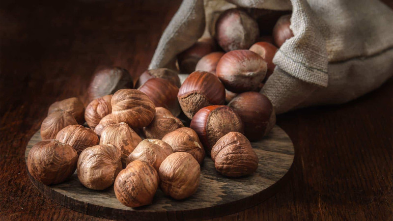 Xaçmazda fındıq təsərrüfatları “sevinmir”