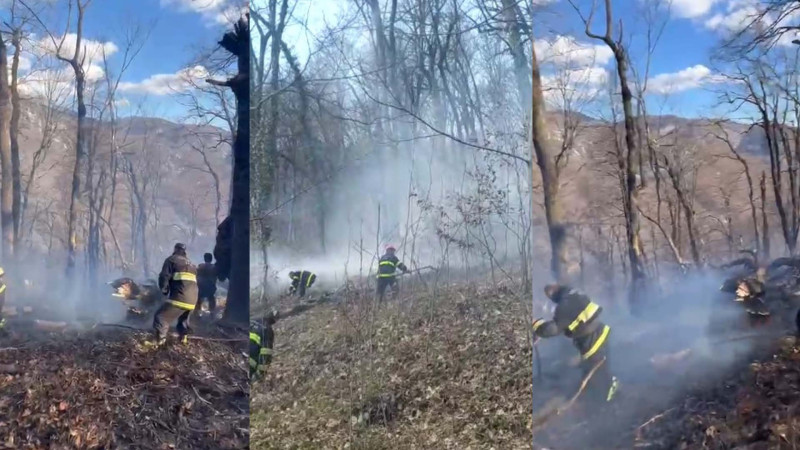 “Şahdağ” Milli Parkında yanğın başlayıb