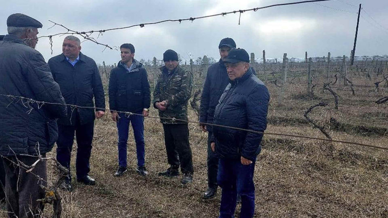 İsmayıllıda üzümçü fermerlərlə seminar keçirilib