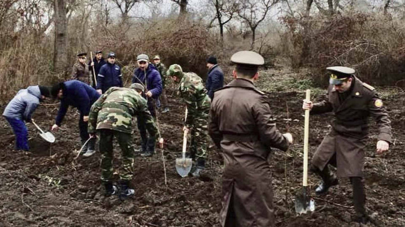 Quba, Şabran və digər bölgələrdə ağac tingi əkilib