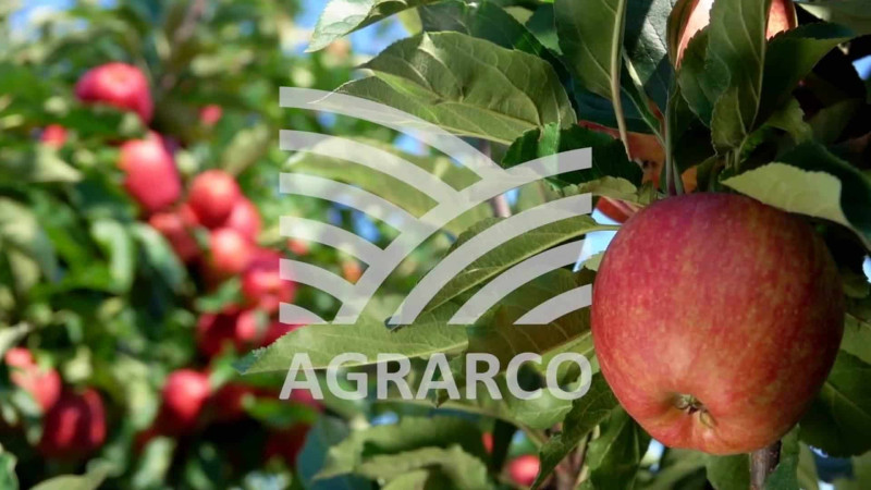 “Agrarco” MMC şimal bölgəsində vakansiya elan edib