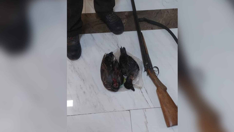 Xaçmaz ərazisində qanunsuz ovla məşğul olan şəxs saxlanılıb