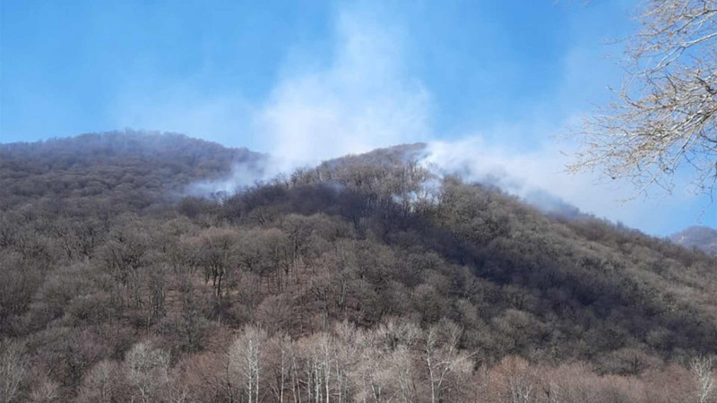 “Şahdağ” Milli Parkı: alov 7 ha sahəni əhatə edib