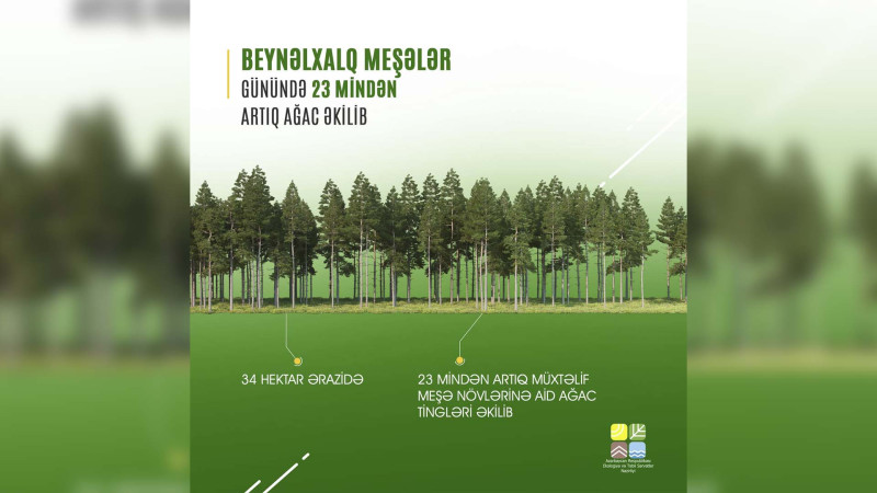 Beynəlxalq Meşələr Günündə Qubada ağaclar əkilib
