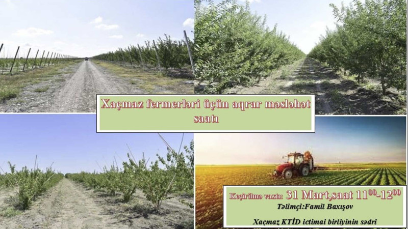 Xaçmazda aqroməsləhətlərə ehtiyacı olan fermerlərlə görüş keçiriləcək
