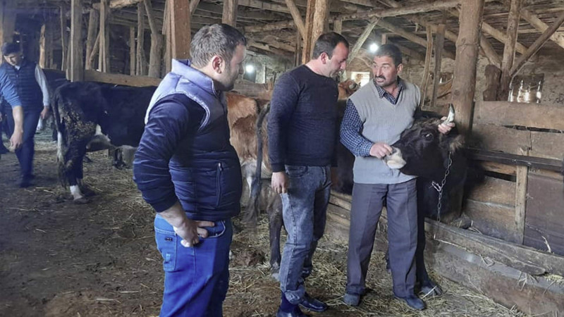 İsmayıllı: tələbələrə təsərrüfatda təlim keçirilib