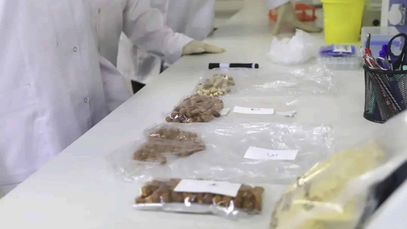 Quba: fındıqçılıqla bağlı tədbir keçirilib