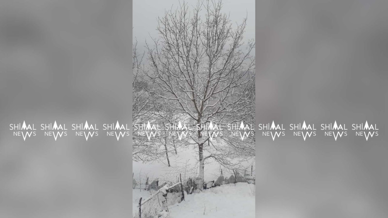 Şimalda qarın qalınlığı 15 sm olub