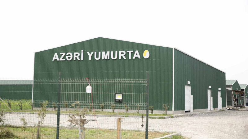 Xaçmaz: gündə 100 min yumurta istehsal edəcək fabrik tikilir