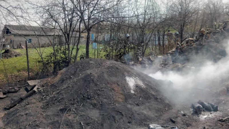 Quba: Vladimirovka sakini qanunsuz ağac kömürü istehsal edib