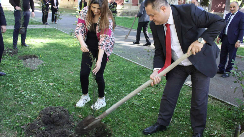 İsmayıllıda iqlimə uyğun meyvə və şam ağacları əkilib