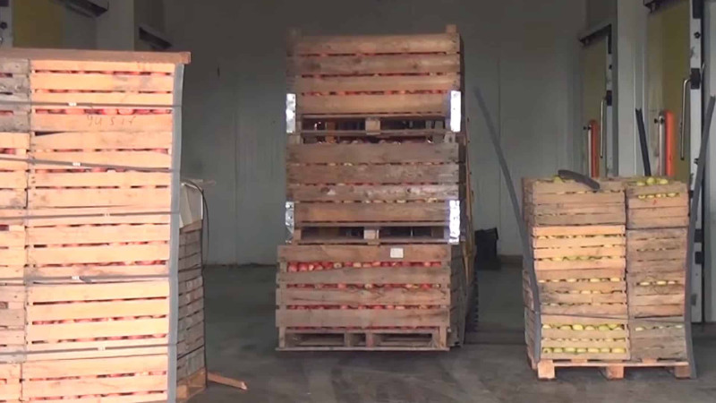 Quba: məhsul bol, satış kasad