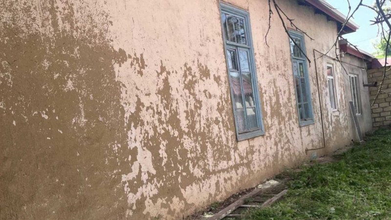 Quba: körpələrin tərbiyə aldığı bağçada ilanlar məskən salıb