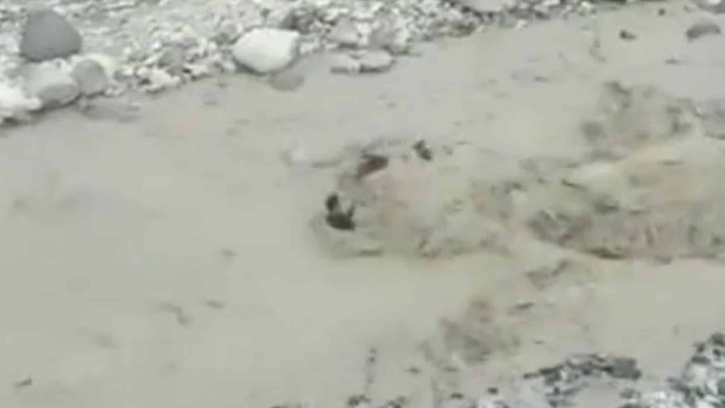 İsmayıllı: at və sahibini sel aparıb – VİDEO