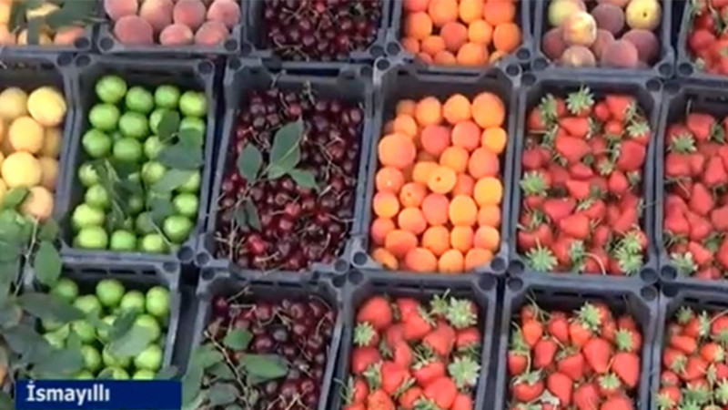 İsmayıllı: alıcılar yol kanarlarındakı meyvələri bəyənirlər