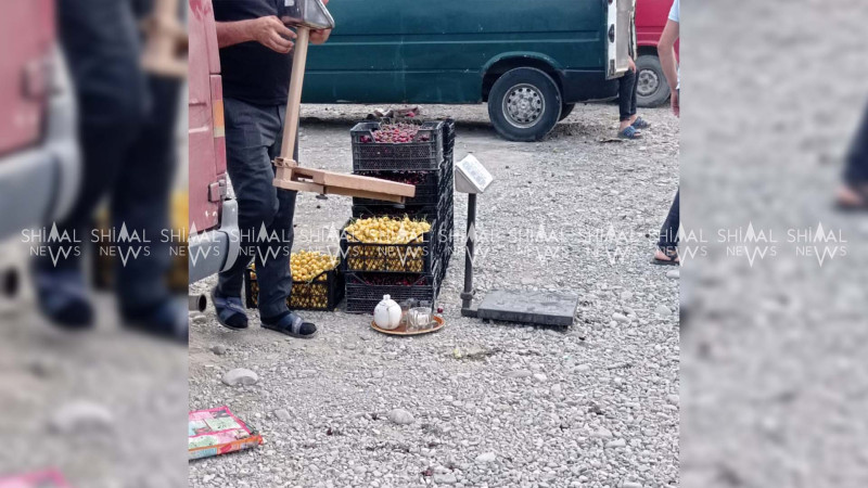 Xaçmazda meyvə bazarı insanları bir araya toplayır