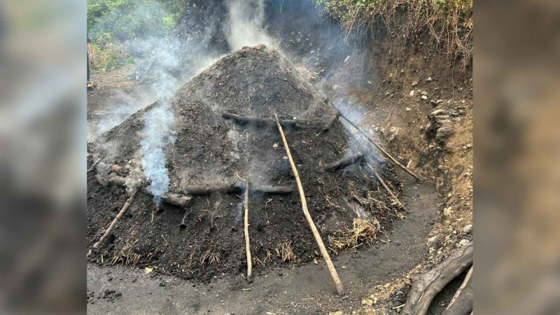 İsmayıllıda 5 nəfər qanunsuz kömür istehsalı ilə məşğul olub
