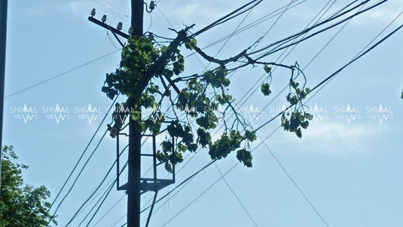 Güclü leysan şimal bölgəsində fəsadlar törədib