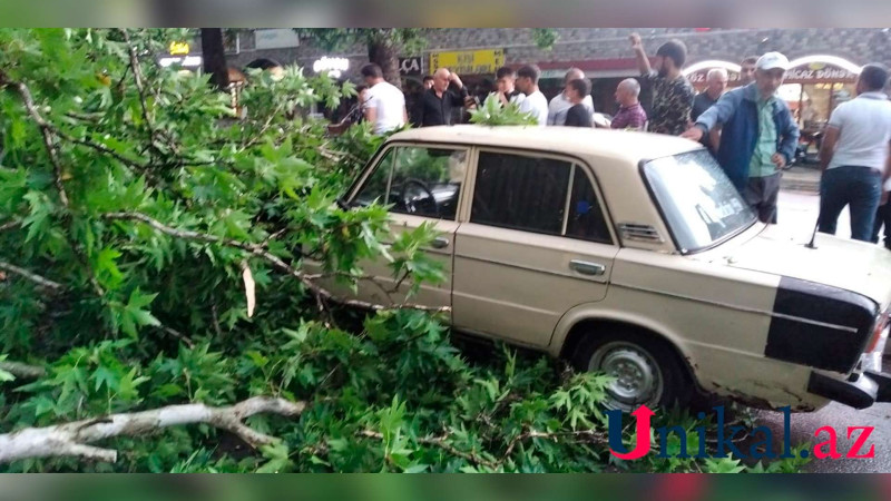 Ağac İsmayıllıda 3 avtomobili əzib