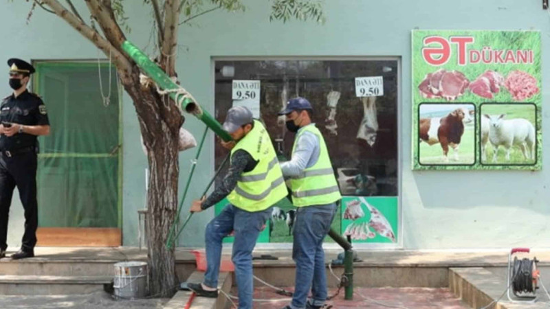 AQTA: Xaçmaz və İsmayıllıda heyvan kəsimi məntəqələrinin sahibləri cərimələniblər