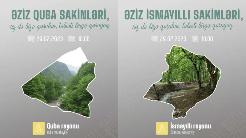 Quba və İsmayıllı meşələrində iməcilik keçiriləcək
