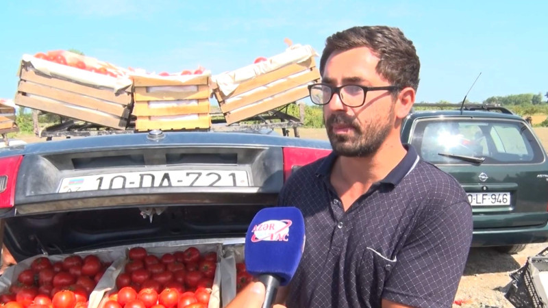 Xaçmazda pomidoru 5 manata alıb 2 qatına satırlar