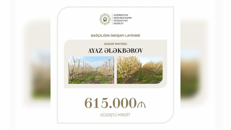 Qusarda bağçılığa 615 min manat ayrılıb