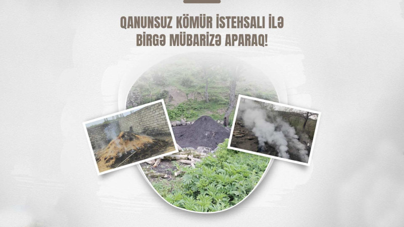 Qanunsuz kömür istehsal edən İsmayıllı sakinləri cəzalandırılıblar