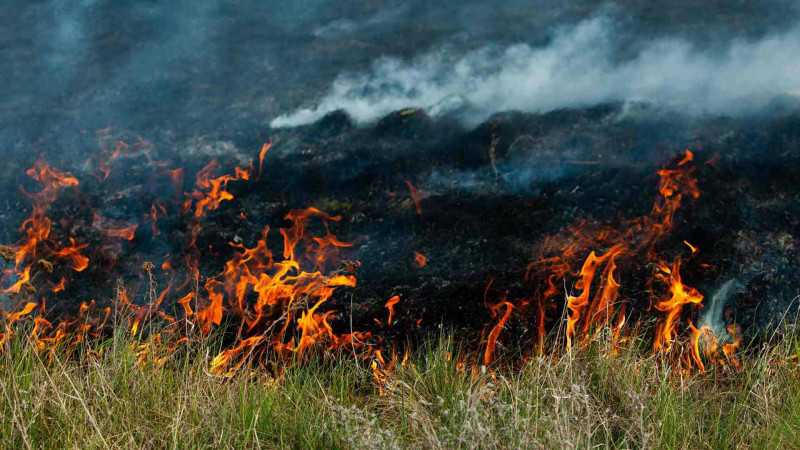 İsmayıllı: Bizlana yaxın ərazidə yanğın baş verib