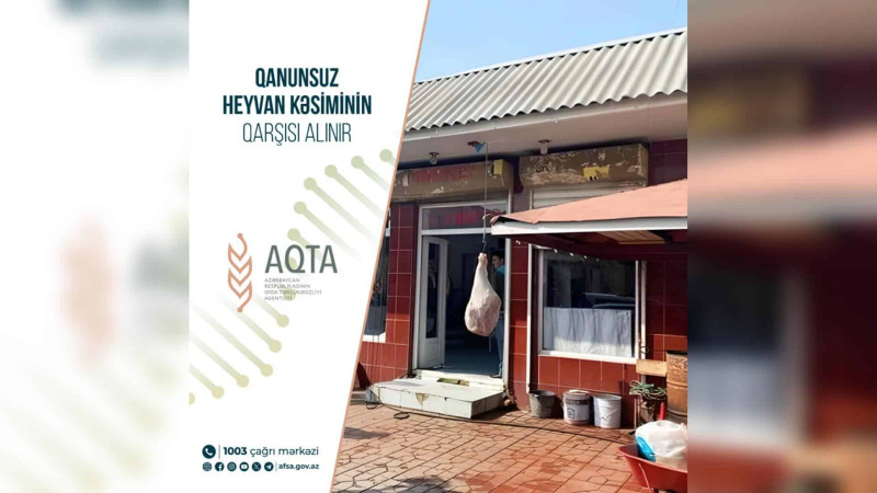AQTA: Xaçmazda qanunsuz heyvan kəsiminin qarşısı alınıb