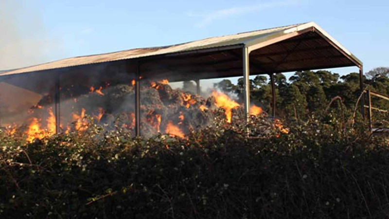 İsmayıllı: talvarı alov bürüyüb