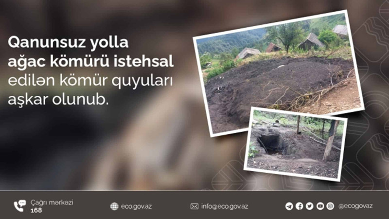 Quba sakini qanunsuz ağac kömürü istehsal edib