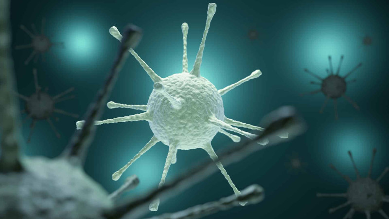 Qubada virus yayıldığı iddia edilib