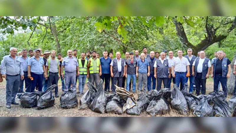 Xaçmaz və İsmayıllıda meşə ərazisində iməcilik aparılıb