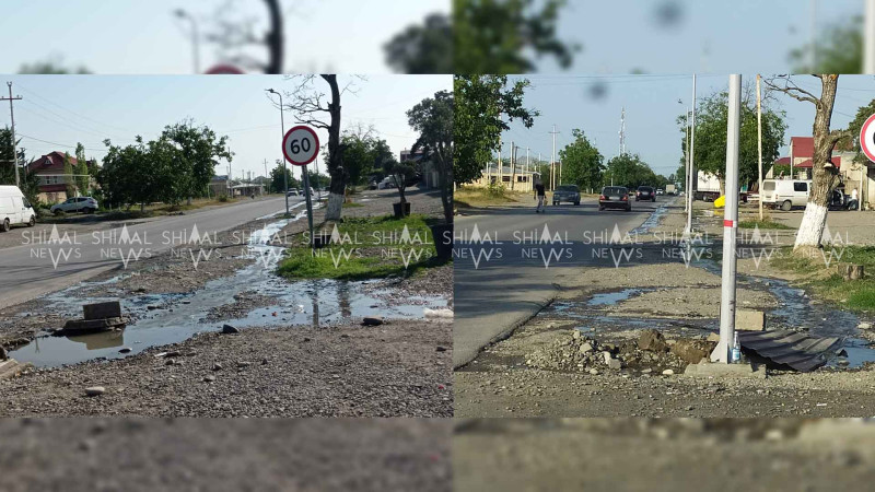 Qubada kanalizasiya suyu çörək sexinə çatıb