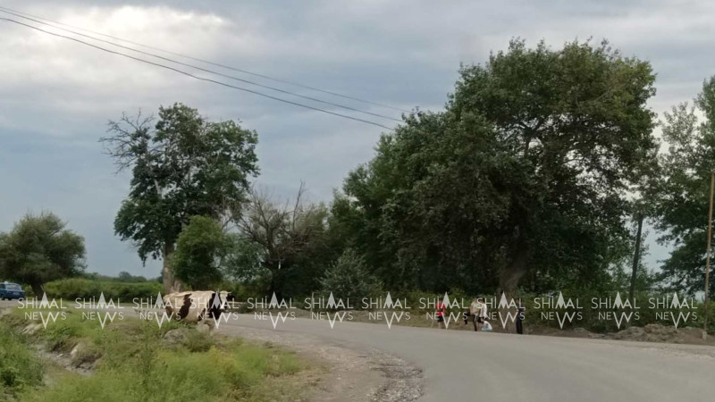 “Gülüstani-İrəm” əsərində qeyd olunan Xaçmazın qədim Çarxı kəndi