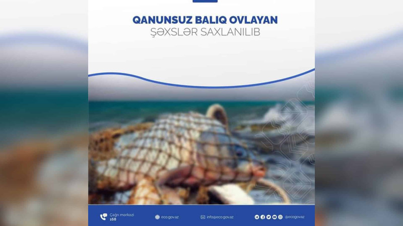 Xaçmaz: qanunsuz ov edən şəxslər cəzalandırılıblar