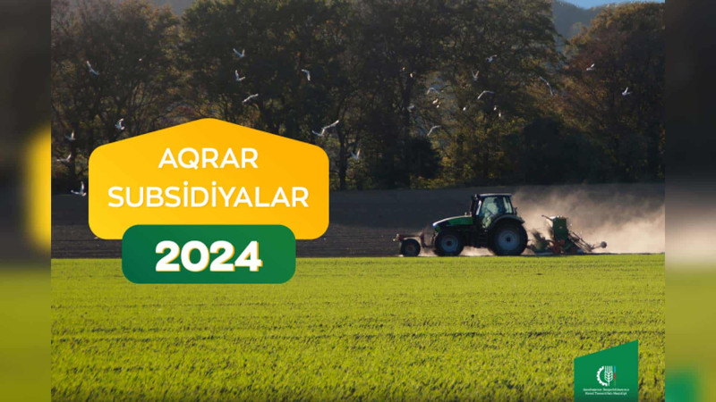 İsmayıllı: üzüm bağlarına görə 8000 manat veriləcək