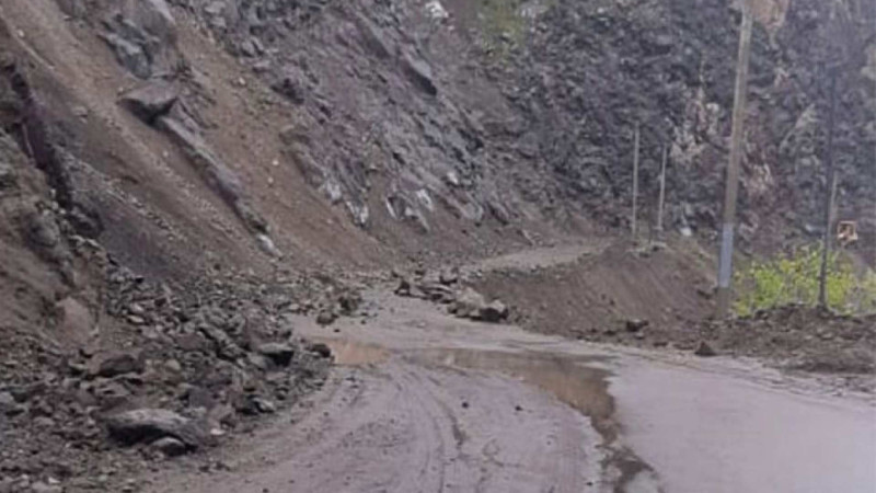 İsmayıllı: kökündən qopan 10 ağac yolu bağlayıb