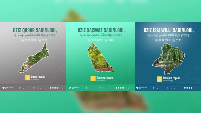Şimal: meşəbəyliklərdə “Təmiz ölkəm” aksiyası davam edir