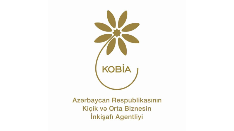 KOBİA: İsmayıllıda maarifləndirici təlim keçiriləcək