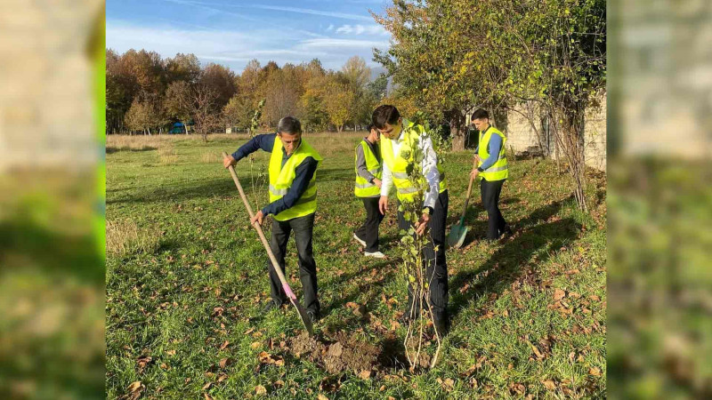 İsmayıllıda şəhidlərin xatirəsinə ağaclar əkilib