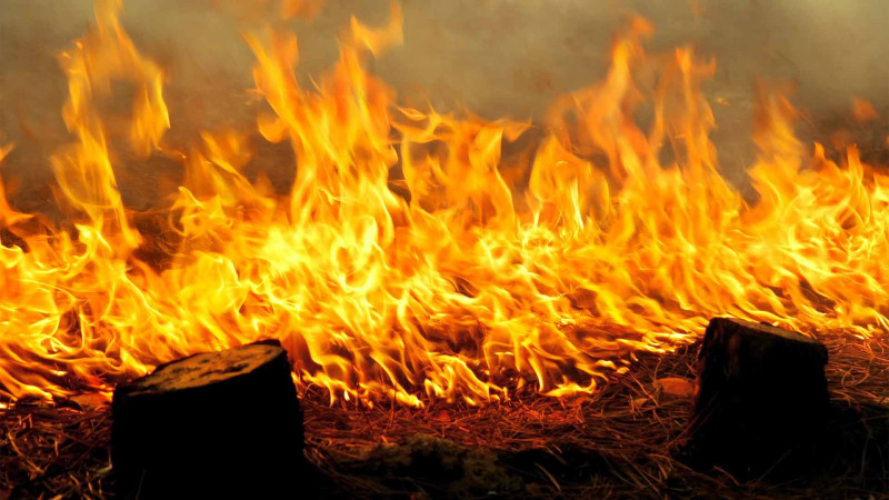 Xaçmaz: Qaradağlıda yanğın baş verib