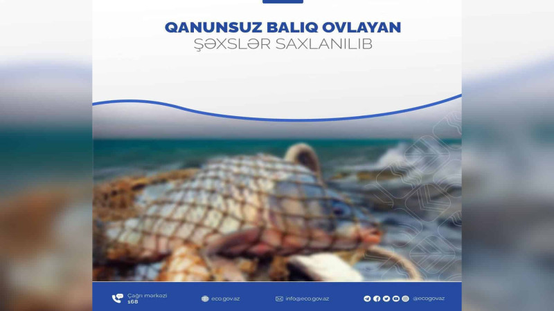 İsmayıllıda qanunsuz balıq ovlayan şəxs cəzalandırılıb