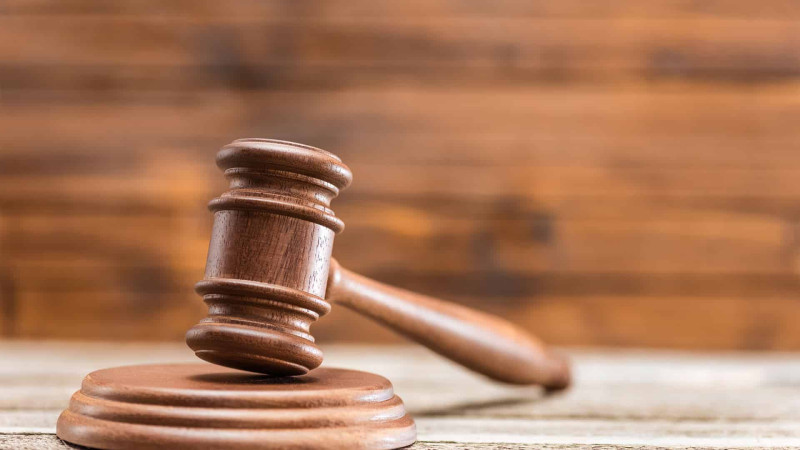 Şimalda yaşayış evləri və kənd təsərrüfatları hərracda təqdim edilir