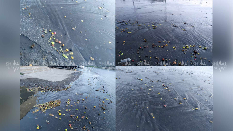 Qubada alma kanalizasiyanı tutub