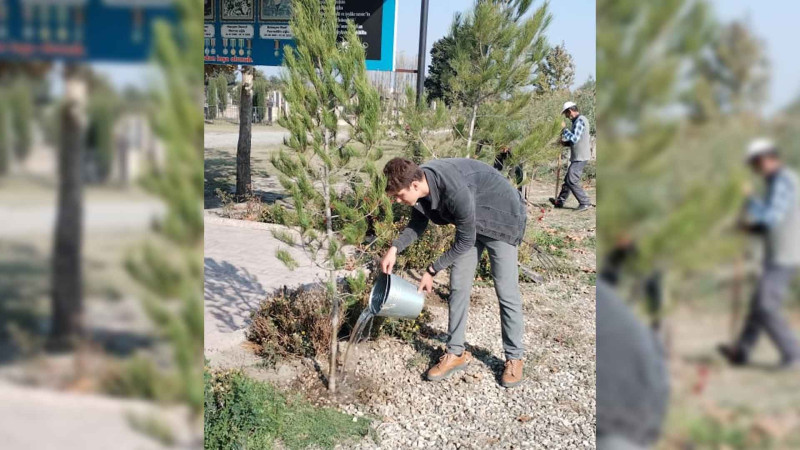 Xaçmaz: şəhidlərin xatirəsinə ağaclar əkilib