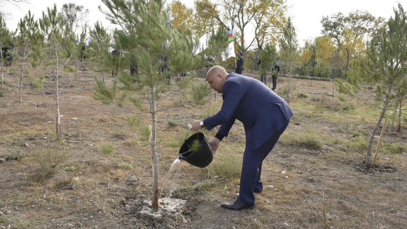 Xaçmaz: Bəyqışlaq kəndində 100-dən çox ağac əkilib