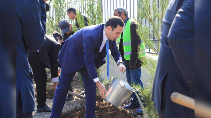 İsmayıllıda 1200 ədəd ağac əkilib